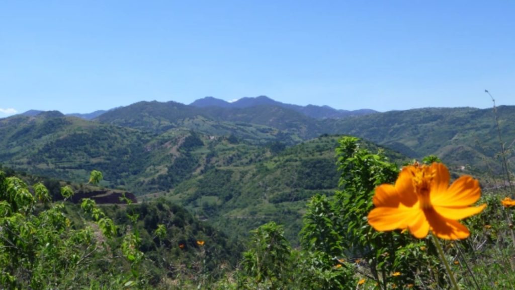 guerrero paisajes
