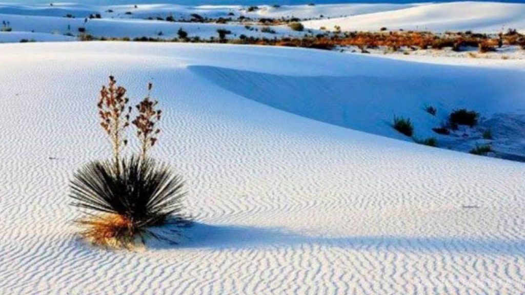 paisajes de arena blanca en coahuila