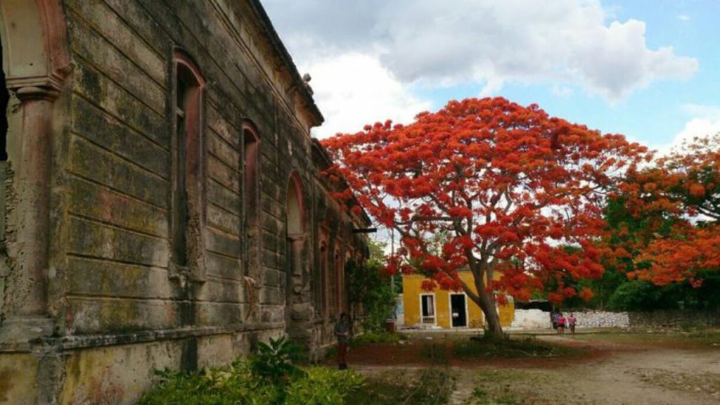 yucatan paisajes y naturaleza